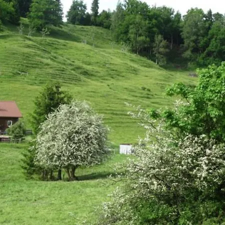 Kaufhold