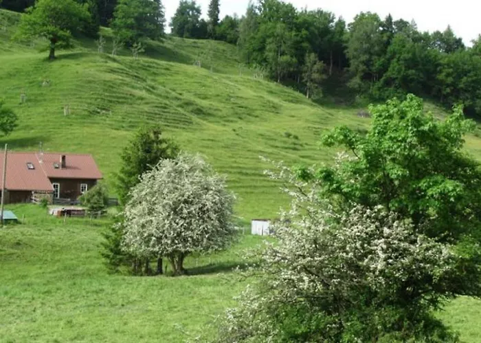 Kaufhold